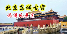 插骚逼操骚逼的视频中国北京-东城古宫旅游风景区